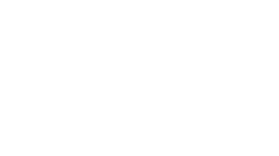 Campo Viejo Logo